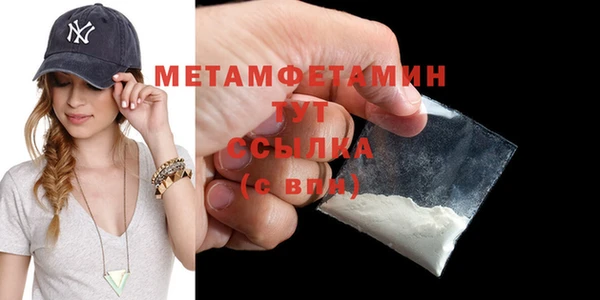 сатива Беломорск