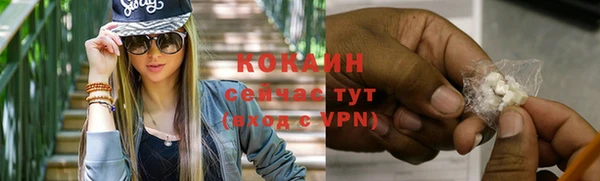 сатива Беломорск
