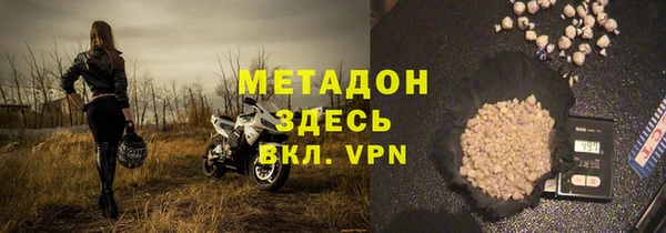 сатива Беломорск