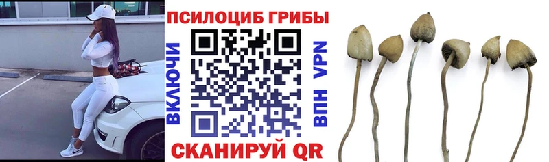 Галлюциногенные грибы мицелий  наркошоп  Ишимбай 